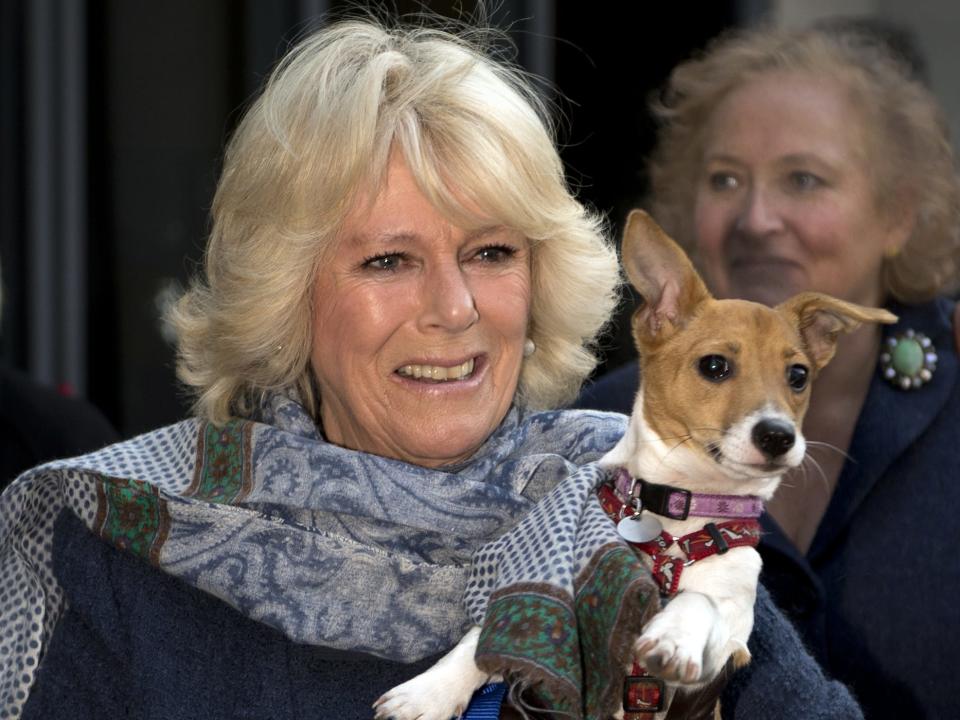 camilla and her dog bluebell