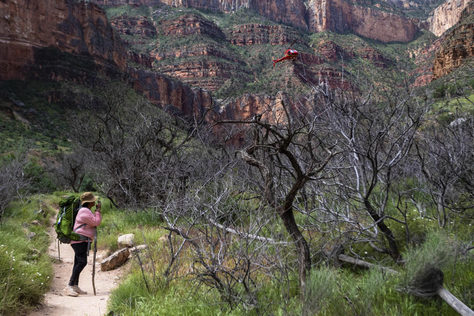 Carletta Tilousi watches as a helicopter carrying fellow Havasupai tribal members prepares to land in the Grand Canyon on Friday, May 5, 2023. The tribe held a blessing ceremony to mark the renaming of a popular campground from Indian Garden to Havasupai Gardens. (AP Photo/Ty O'Neil)