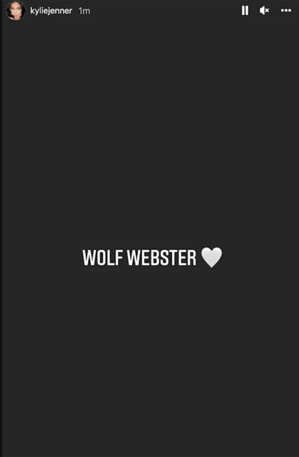 Kylie Jenner's Wolf Webster post