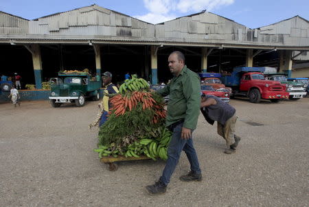 Men push a cart with vegetables and fruits at a wholesale market in Havana April 13, 2016. REUTERS/Enrique de la Osa