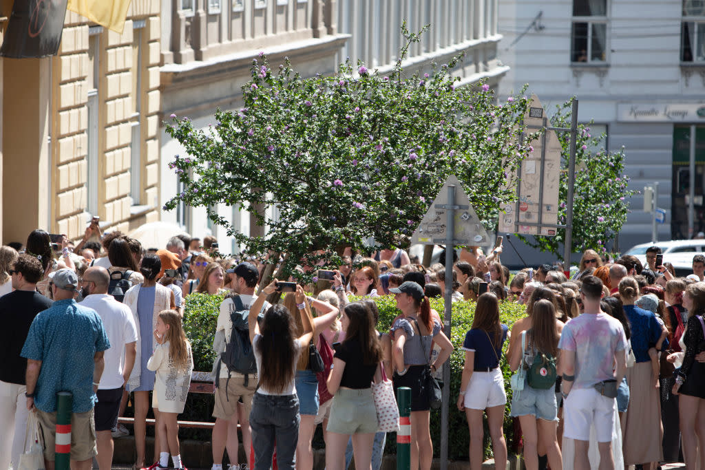 Fans of U.S. singer Taylor Swift stand and sing on Cornelius Strasse street in Vienna, Austria, on Aug. 8, 2024 after organisers cancelled the concerts due to a foiled terrorist attack. <span class="copyright">Alex Halada—Getty Images</span>