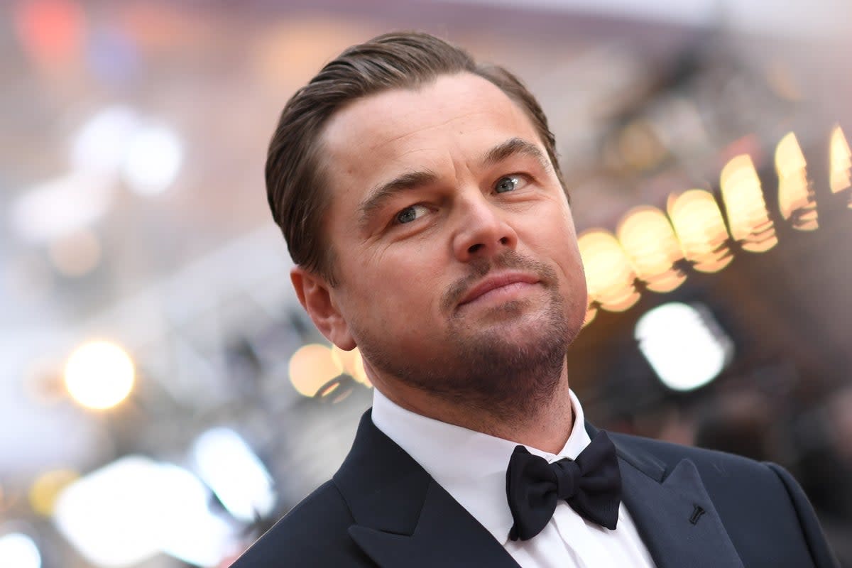 Leonardo DiCaprio asiste a los Oscar en 2020 (AFP via Getty Images)