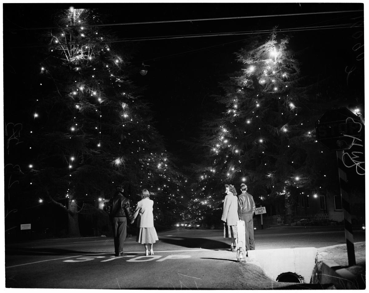 Christmas Tree Lane in Altadena, California, is the Oldest LargeScale