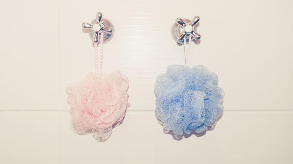 bath shower sponge loofah meshes