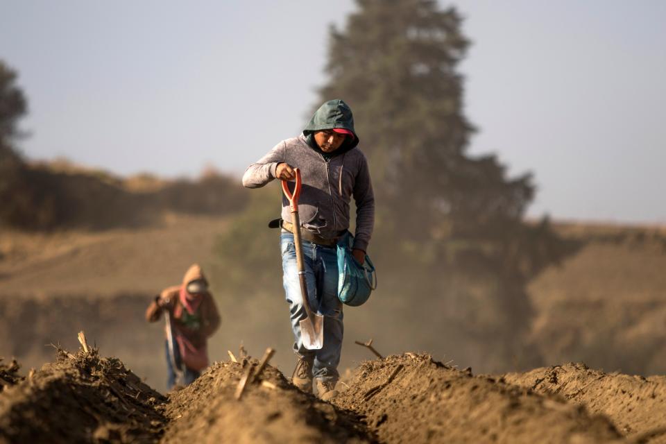 Farmers work in San Pedro Nexapa, Mexico state, on April 3, 2020, during the outbreak of the novel coronavirus. (Photo by CLAUDIO CRUZ / AFP) (Photo by CLAUDIO CRUZ/AFP via Getty Images)