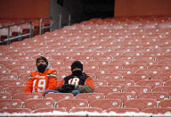 <p>Fans of the Cleveland Browns and the Cincinnati Bengals sit together before the game at Cleveland Browns Stadium on December 11, 2016 in Cleveland, Ohio. (Photo by Justin K. Aller/Getty Images) </p>