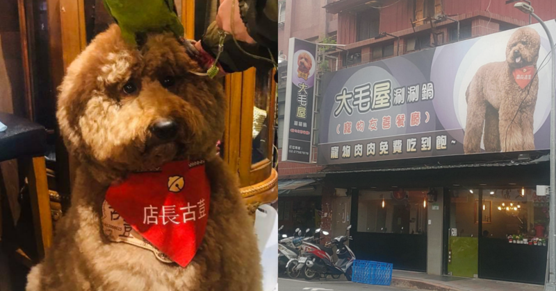 台北一家涮涮鍋店主打「寵物肉肉免費吃到飽」，嚇壞不少網友。（翻攝自大毛屋涮涮鍋臉書、台灣迷因臉書）