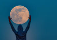 In Brandenburg (Sieversdorf) streckt ein Mensch seine Arme aus, um den Mond zu "umarmen". In der Nacht von Dienstag auf Mittwoch durften Hobbyastronomen und alle, die sich am Anblick des voll leuchtenden Mondes erfreuen, über einen besonderen Anblick freuen. (Bild: Patrick Pleul/Getty Images)