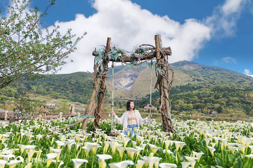 陽明山竹子湖一日遊