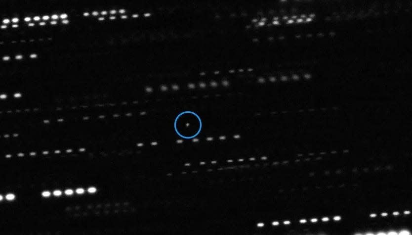 A still image shows dots streaming across a black sky. One dot is circled in blue. The highlighted dot is Oumuamua and the other dots are stars contamination the image.