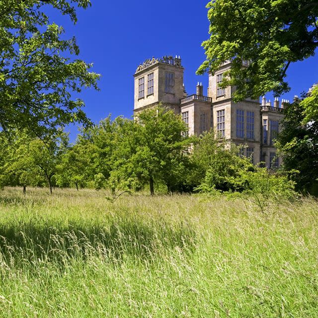 8) Hardwick Gardens and Parklands, Derbyshire