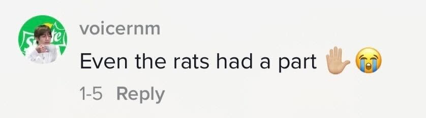 "Even the rats had a part"