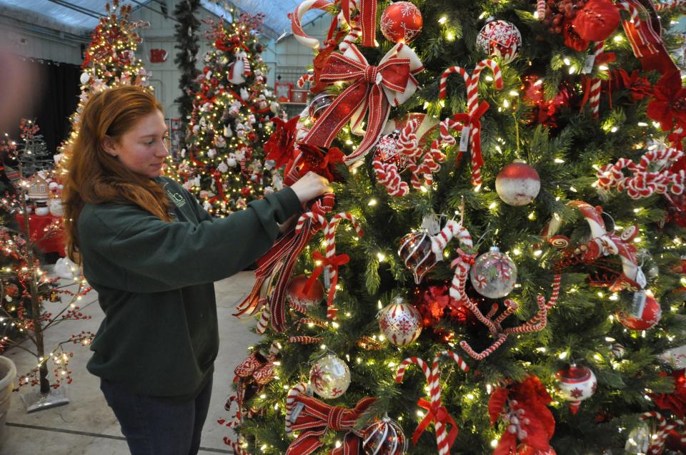 Carmella DeLuca, customer service manager at Homestead Gardens in Smyrna, arranges decorations on a Christmas tree in the best-selling colors: red and white.