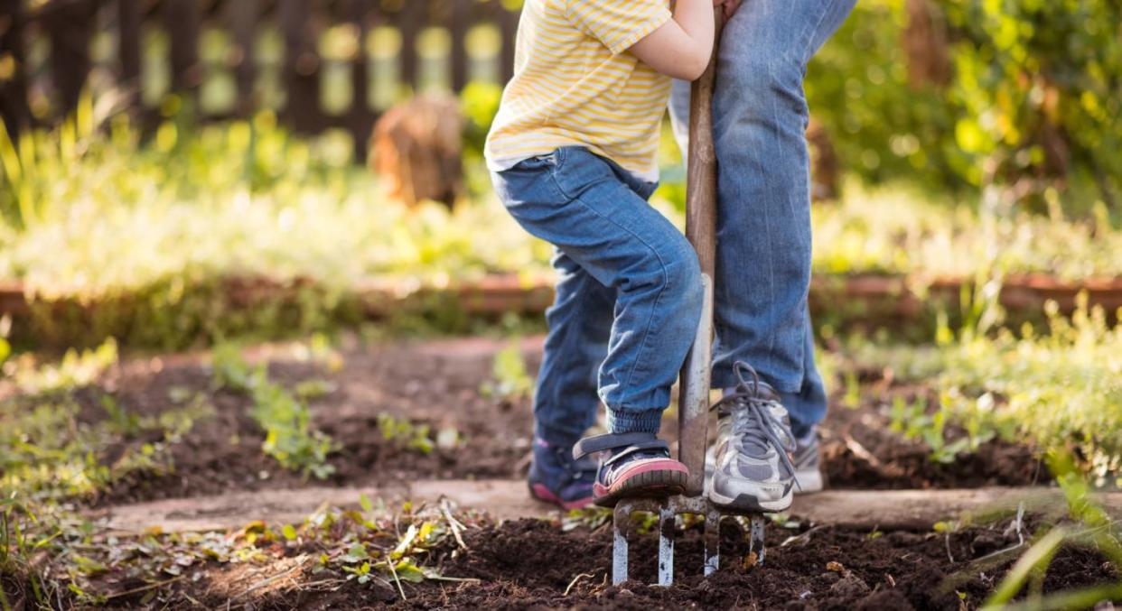 This is where to buy compost online. (Getty Images) 