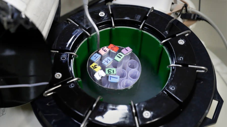 A view of some egg samples held inside a smaller cryo storage container, each container capable of holding approximately 150 egg samples immersed in liquid nitrogen, in one of the secured storage areas at the Aspire Houston Fertility Institute in vitro fertilization lab Tuesday, Feb. 27, 2024, in Houston. Women over 35 and those facing serious diseases like cancer, lupus and sickle cell are among the most likely to turn to IVF to build the families they desperately want. But in Alabama, they are among those whose dreams are in limbo after three of the state's largest clinics paused IVF services. (AP Photo/Michael Wyke)