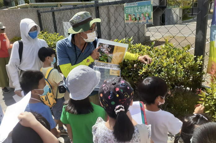 大家一起認真觀察，透過圖片和實際對照說明認識更深