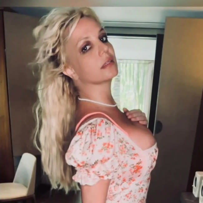 La familia de Britney Spears 'no puede acercarse a ella' credit:Bang Showbiz