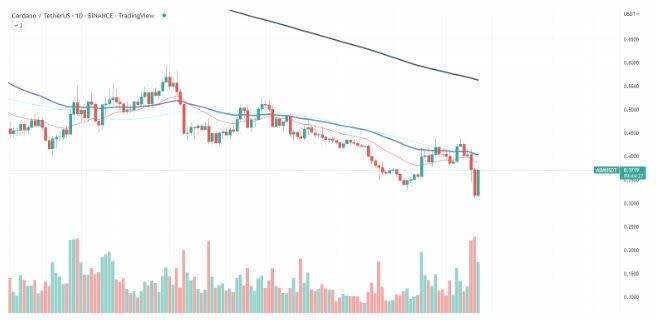 Cardano ha recuperado un 9% de su valor