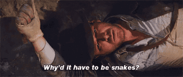 Indiana Jones saying "Why'd it have to be snakes?"