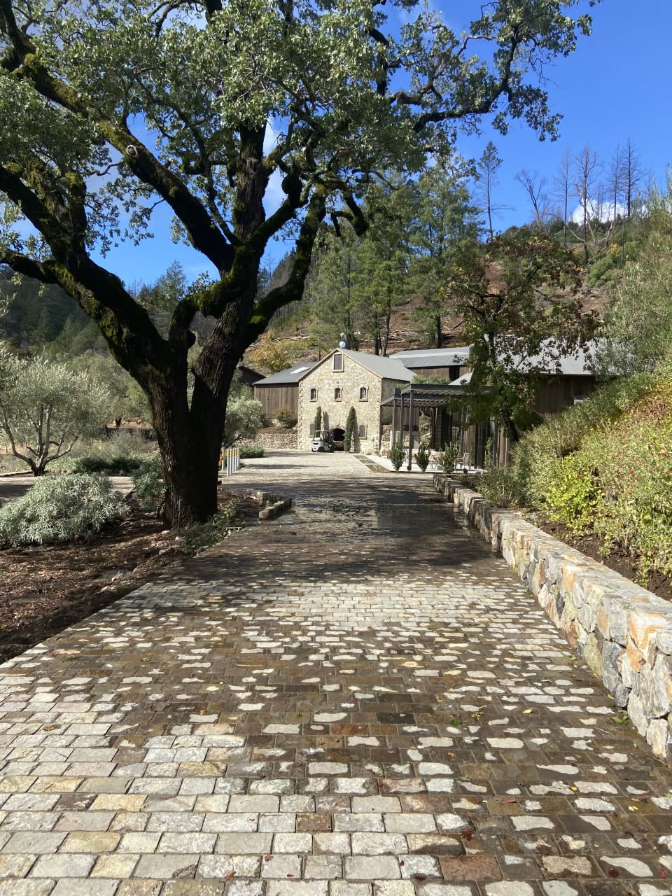 The entrance to the Mayacamas estate in Napa Valley includes a view of the old stone winery next to the newly rebuilt tasting room. - Credit: Kellie Ell / WWD