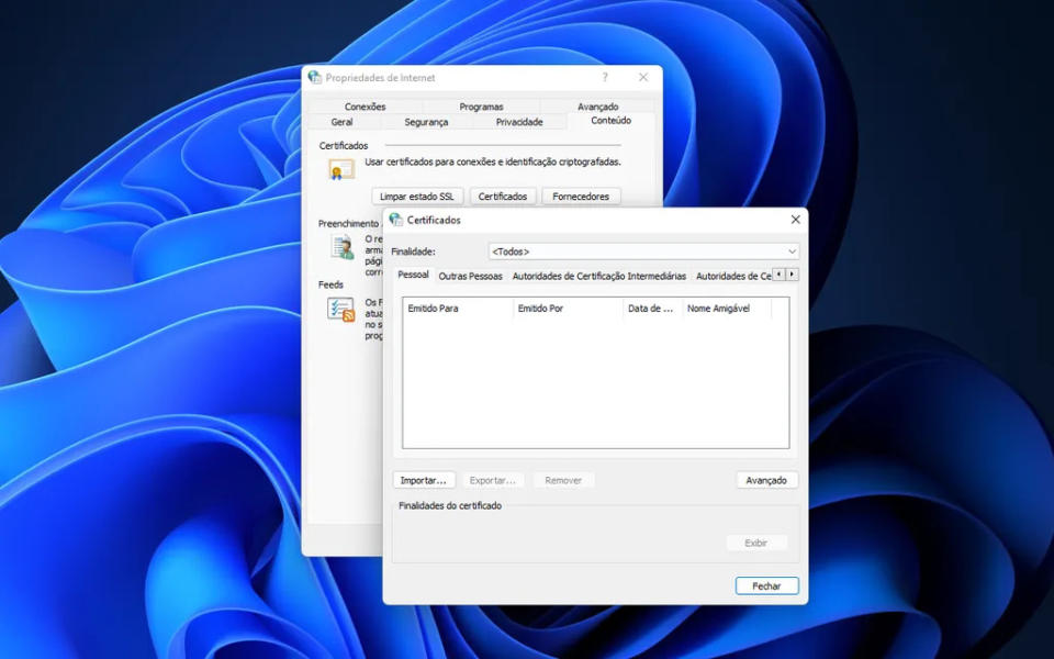 Remova os certificados SSL do Windows (Captura de tela: Thiago Furquim)