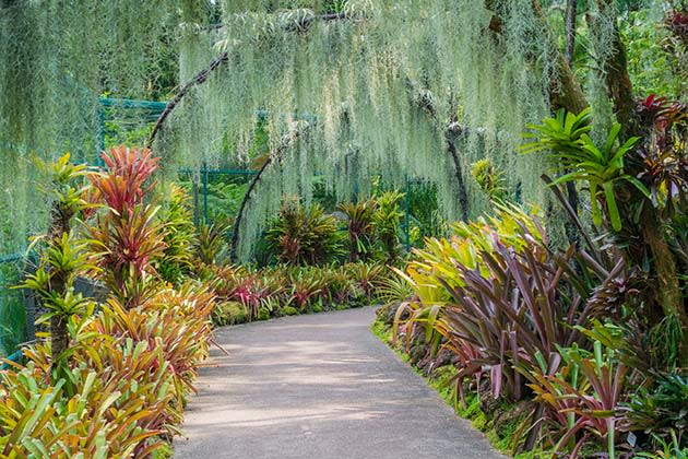 Artificial arches with orchid flowers in Singapore’s famous Botanic Gardens