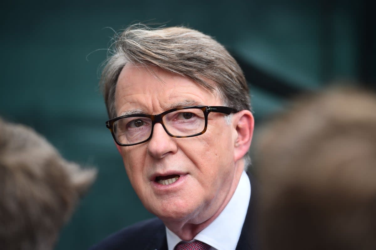 Peter Mandelson ‘very much regrets’ Epstein ties (AFP via Getty Images)