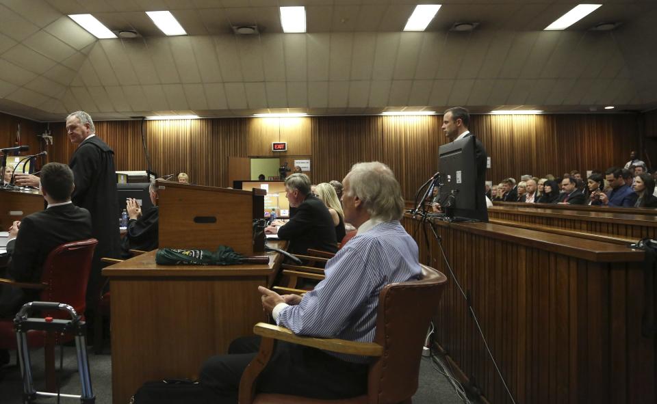 Pistorius stands in the dock as his lawyer speaks at the North Gauteng High Court in Pretoria