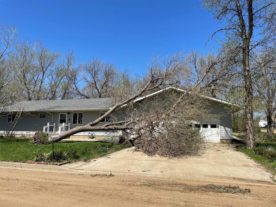 Janet Rief's home with two uprooted trees in front of the garage on Friday, May 13, 2022.