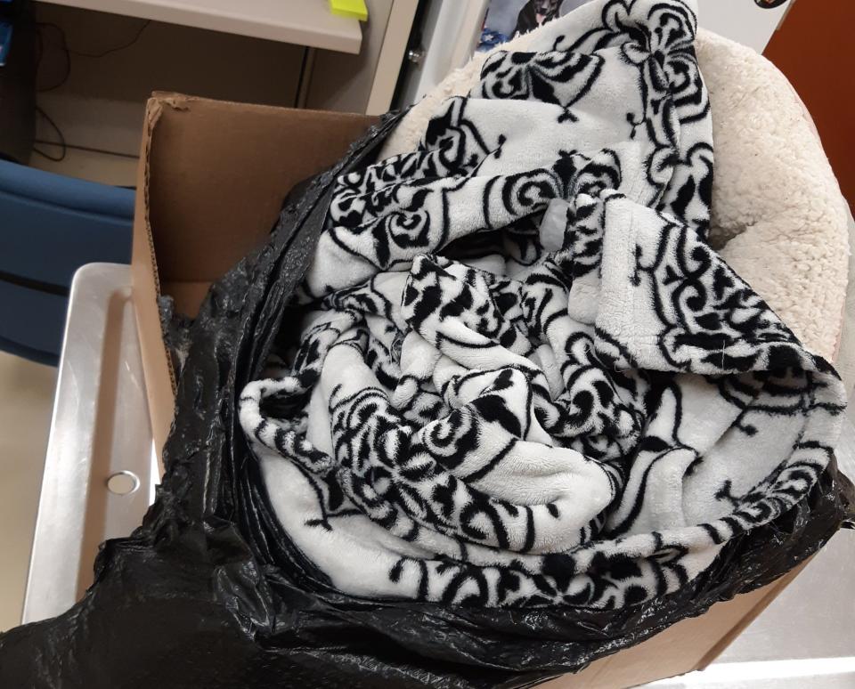 Investigators for the Beaver County Humane Society say that the deceased dog was wrapped in this blanket and left in a trash bag in Aliquippa. Anyone with information on the potential owner of the pet is asked to call the Humane Investigations department.