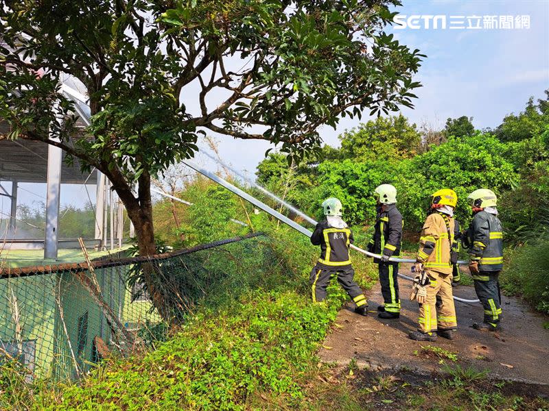 新竹縣寶山鄉鴿舍起火燃燒，造成38隻賽鴿全被燒死。（圖／翻攝畫面）