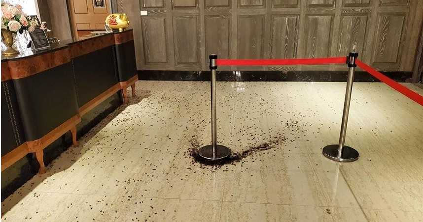 台北市警局長陳嘉昌昨晚參加餐會時，餐廳被人丟擲上千隻蟑螂，引起社會議論，警方已在新北市泰山區一家汽車旅館逮捕負責拍照、把風的18歲游姓女嫌。（圖／翻攝畫面）