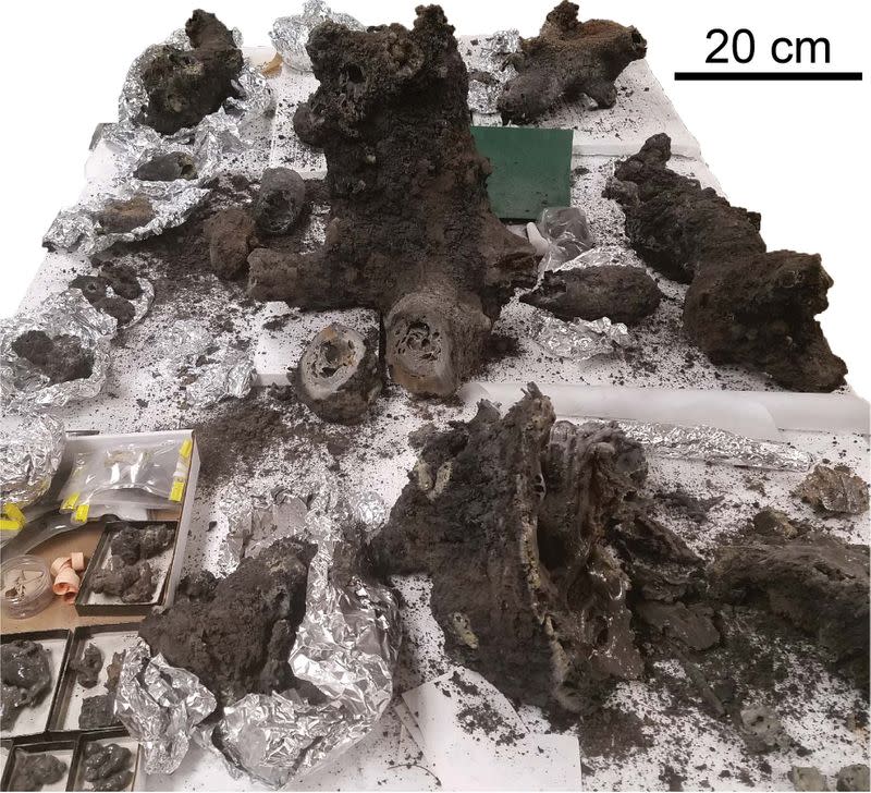 All excavated pieces of the fulgurite from the backyard of a familyÕs home in Illinois analyzed in a study are seen in this undated handout image