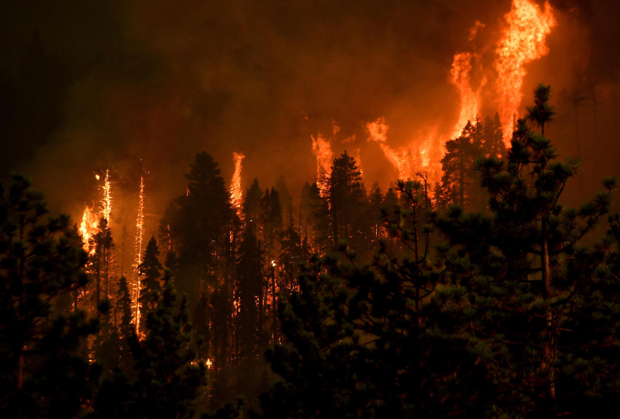 The El Dorado Fire, the result of a pyrotechnic sex-reveal stunt by parents-to-be, burns in California in 2020. 