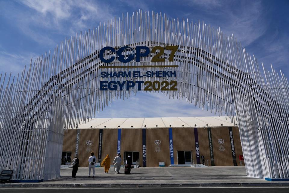 Cop27 is under way in Egypt (AP)
