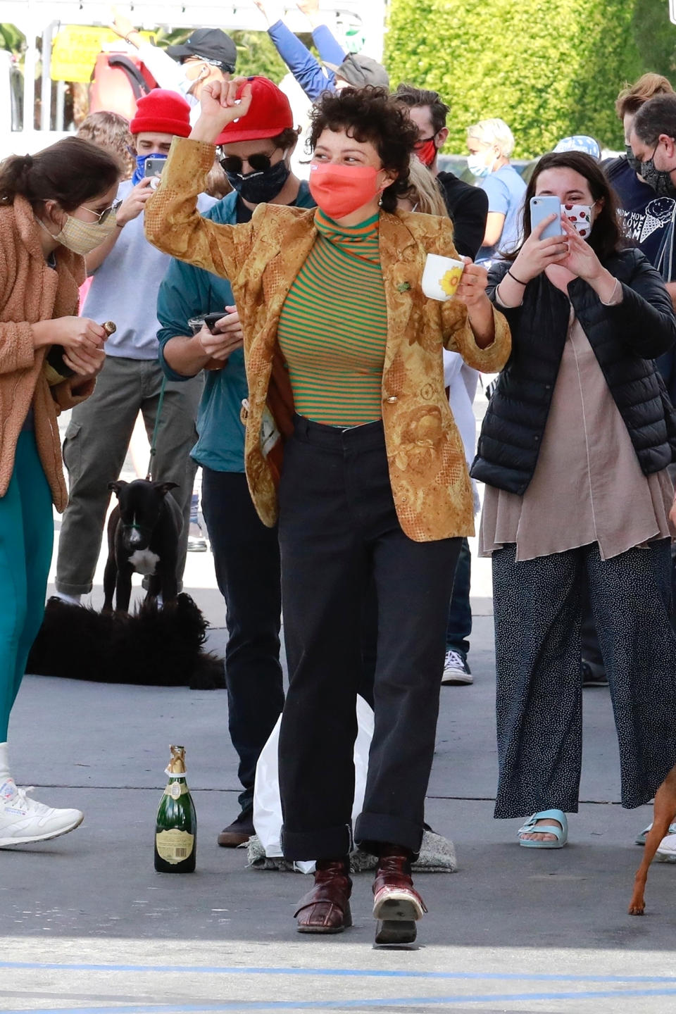 <p>Alia Shawkat was spotted dancing and celebrating Joe Biden's projected victory over President Donald Trump in Los Feliz, California.</p>