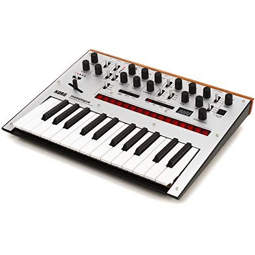 7) Korg Synthesizer (25-Key)