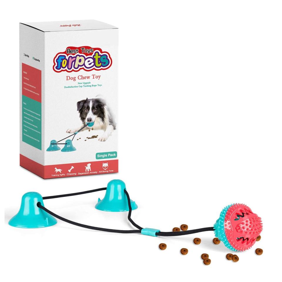 Amazon Pet Accessories