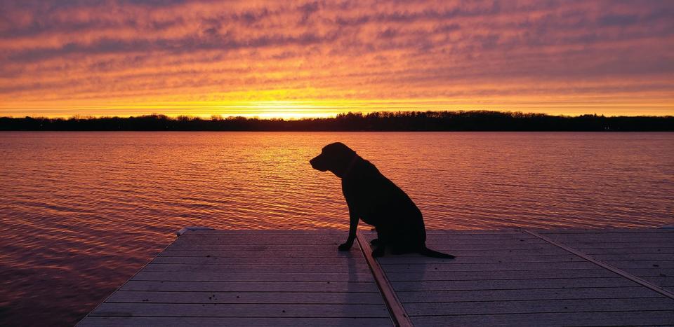 Sasha, on a dock at sunset on Nagawicka Lake in Delafield.