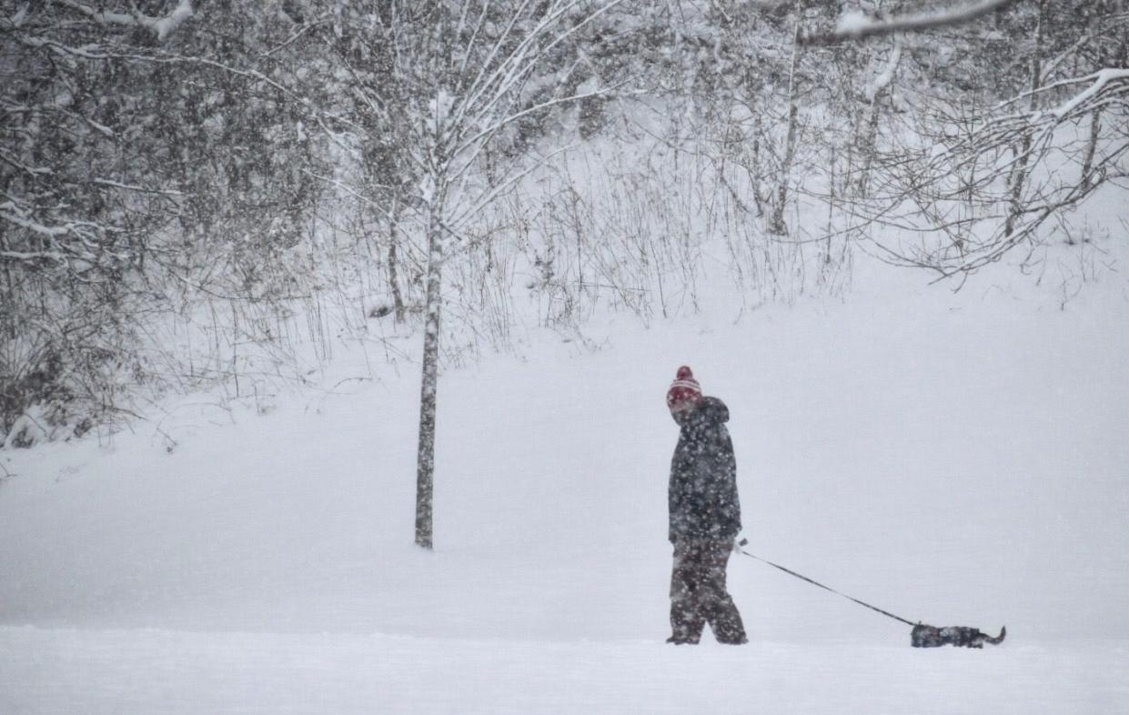 A dog and its owner talk a walk through lower North Park in Fall River during a snowstorm in 2022.
