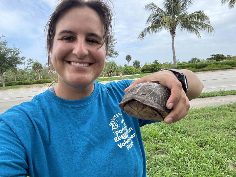 Celina Ceballos holds a Florida box turtle she helped to cross US 41.