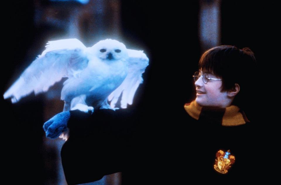 Harry Potter und der Stein der Weisen