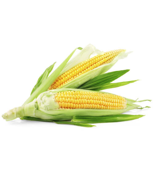 August: Corn