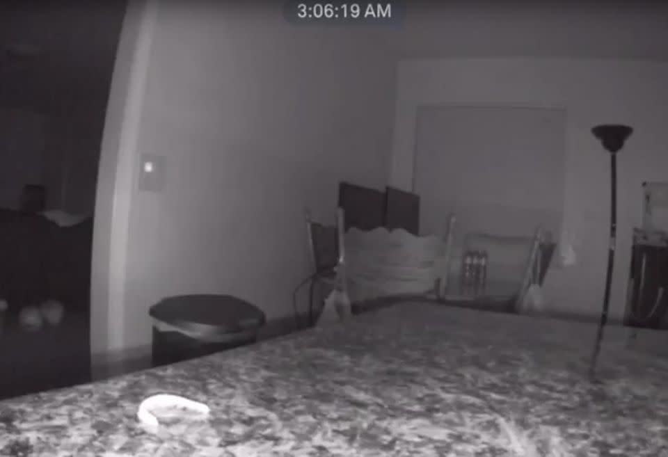 The house owner said the camera use motion detectors, which notify them in the morning if something has been moving during the night. Photo: Reddit/filet-mignon
