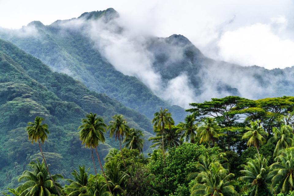 Tahiti's wilderness