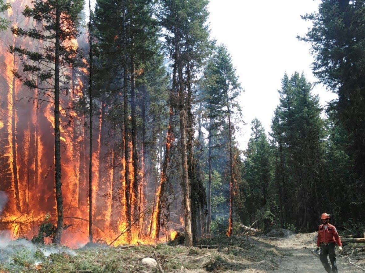 A fire set by B.C. Wildfire Service to help protect the Cariboo Fire Centre and Williams Lake Airport is pictured on July 8, 2017. The wildfires of that year were the worst in the province's recorded history. (Stephan Karolat/B.C. Wildfire Service - image credit)