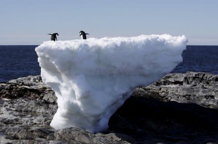 FILE PHOTO: Two Adelie penguins stand atop a block of melting ice on a rocky shoreline at Cape Denison, Commonwealth Bay, in East Antarctica in this January 1, 2010 file photo.    REUTERS/Pauline Askin/File Photo