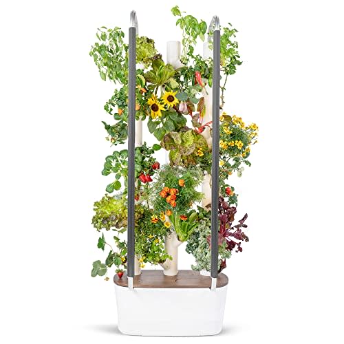 Gardyn 3.0 Next Generation of Hydroponics Growing System, Indoor Garden & Vertical Garden Planter | Includes 30 Non-GMO Indoor Plants, Herbs & Vegetables for Your Home Indoor Gardening System