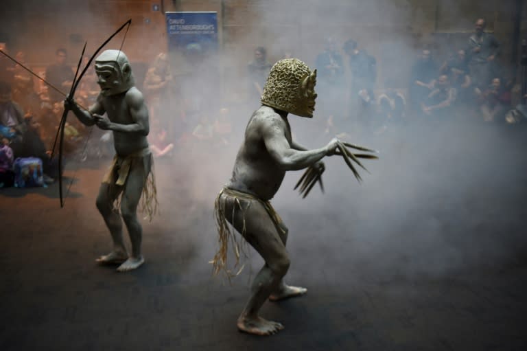 "Mud Men" from the Asaro Valley in Papua New Guinea's Eastern Highlands perform a dance, traditionally intended to intimidate their enemies, at the Australian Museum in Sydney