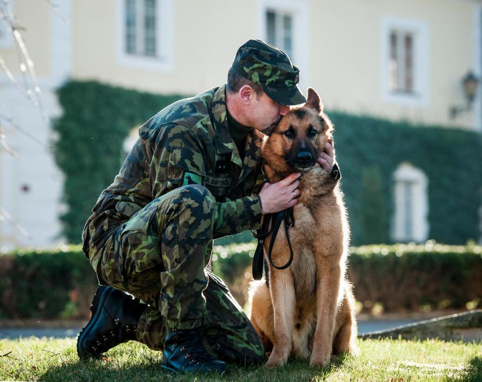 Four-year-old Czech military dog Athos who was seriously wounded in a Taliban rocket attack in Afghanistan in 2012 sits with dog handler Rostislav Bartoncik after being decorated by Czech Defence Minister Vlastimil Picek in Chotyne, Czech Republic, on Tuesday, Jan. 7, 2014. Suffering life threatening injuries, Athos was first treated by U.S. military doctors in Afghanistan before he was transported to the U.S. Ramstein base in Germany. (AP Photo/CTK, Radek Petrasek) SLOVAKIA OUT